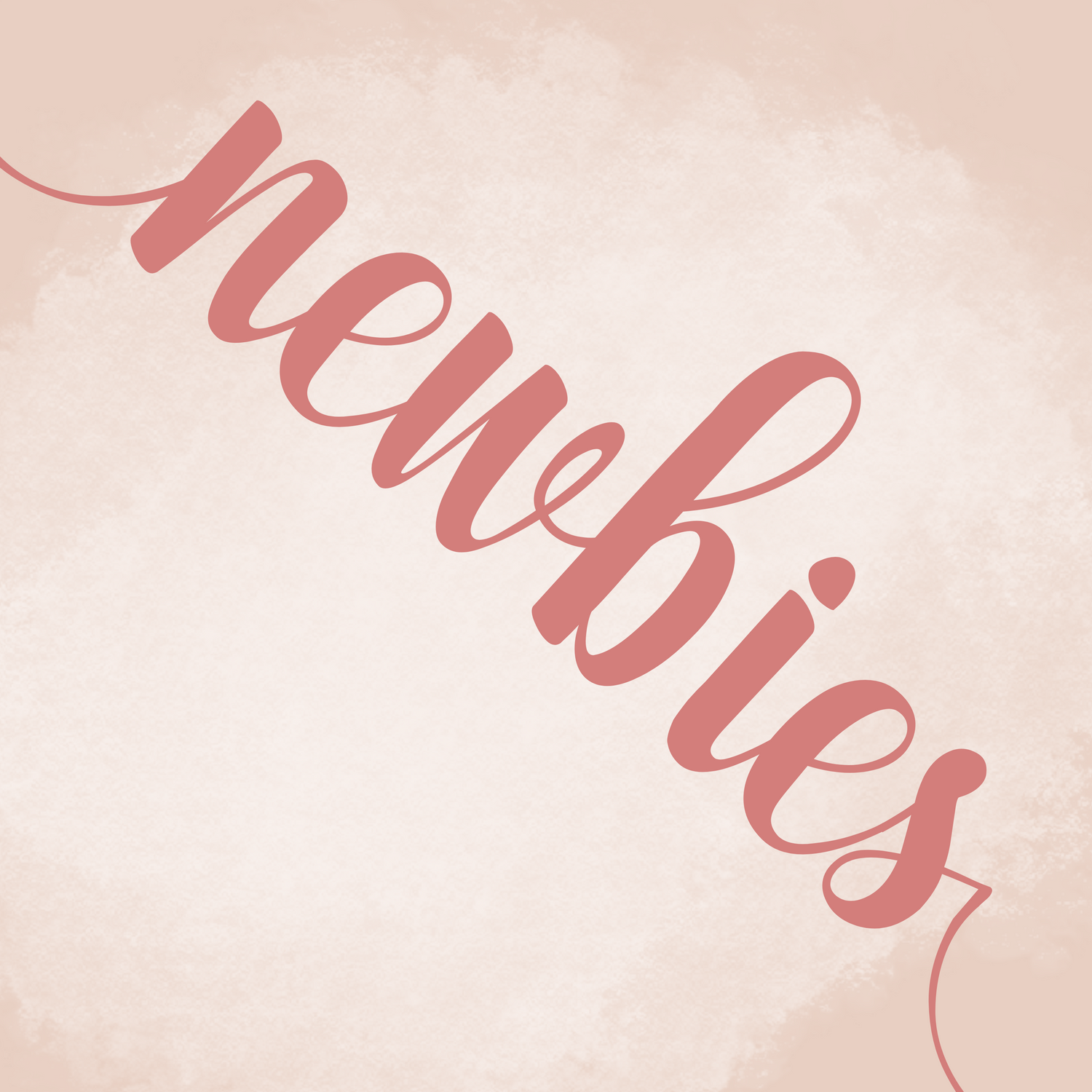 ✨ NEWBIES ✨
